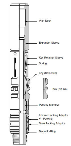 Representation of type R (selective) and type RN (no-go) locking mandrels (Halliburton)